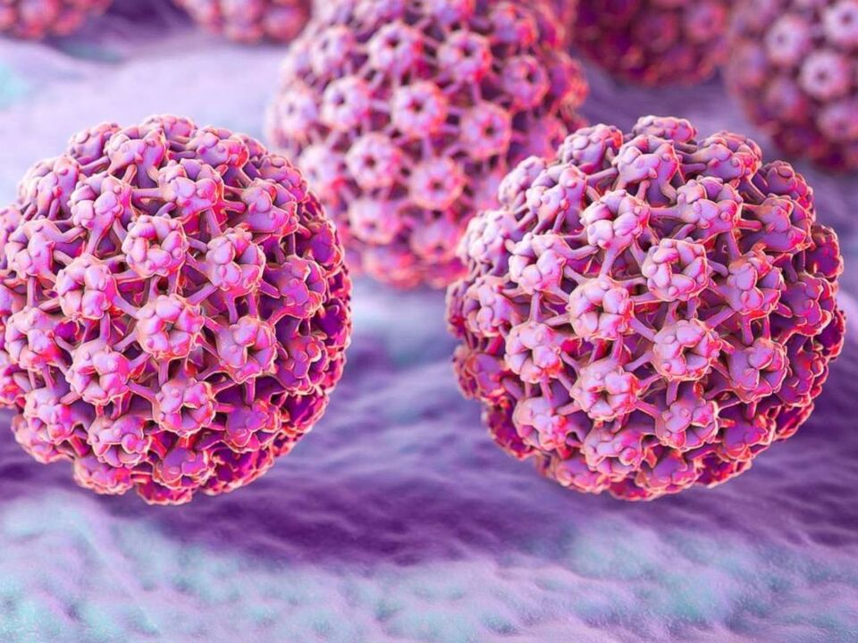 papillomavirus classification